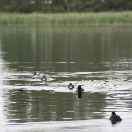 Kastanienhof Am Loppiner See * Jabel